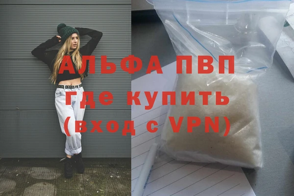 Альфа ПВП Новодвинск