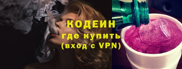 хмурый Новозыбков