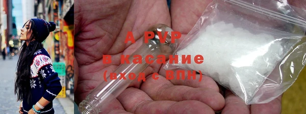 хмурый Новозыбков