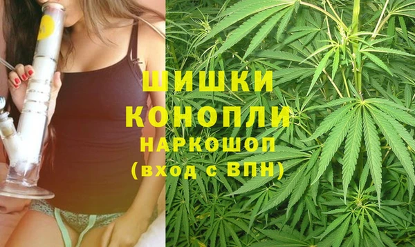каннабис Новокубанск