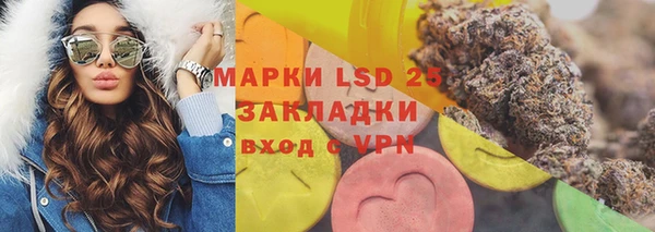 хмурый Новозыбков